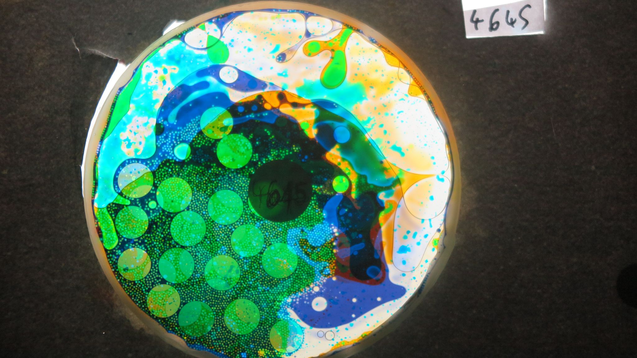 BV4645 bubble vision oil wheel